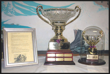Hans Brinker Noble Spirit Award trophy