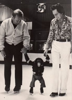 1960s - 1960schimps.jpg