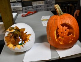 halloween2018 - 45009571_10155956124560197_1656703030780755968_o_10155956124555197.jpg