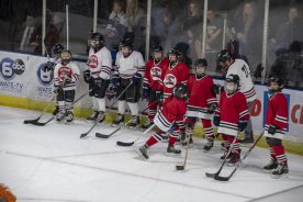 IceBearsApril2019 - RGR_6715.jpg