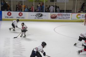 IceBearsApril2019 - RGR_6720.jpg