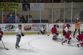 IceBearsApril2019 - RGR_6738.jpg