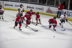 IceBearsApril2019 - RGR_6755.jpg