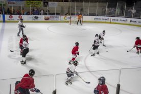 IceBearsApril2019 - RGR_6757.jpg