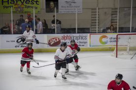 IceBearsApril2019 - RGR_6760.jpg