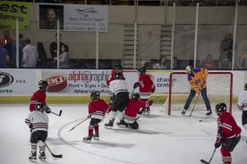 IceBearsApril2019 - RGR_6775.jpg