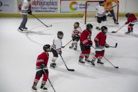 IceBearsApril2019 - RGR_6796.jpg