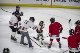 IceBearsApril2019 - RGR_6799.jpg