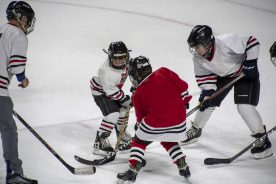 IceBearsApril2019 - RGR_6801.jpg