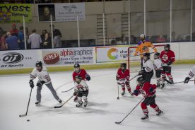 IceBearsApril2019 - RGR_6833.jpg