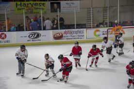 IceBearsApril2019 - RGR_6834.jpg