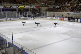 IceBearsApril2019 - RGR_6835.jpg