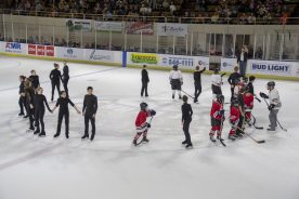 IceBearsApril2019 - RGR_6878.jpg