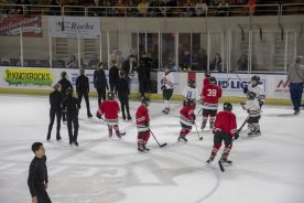 IceBearsApril2019 - RGR_6887.jpg