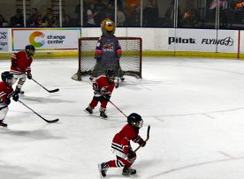 IceBearsJan2019 - 1DSC_3481.jpg