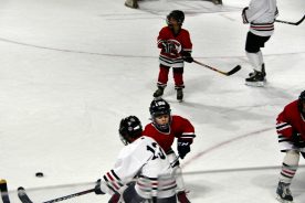 IceBearsJan2019 - 1DSC_3513.jpg