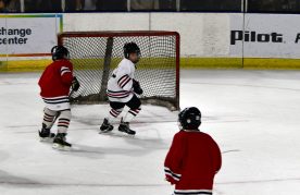 IceBearsJan2019 - 1DSC_3521.jpg