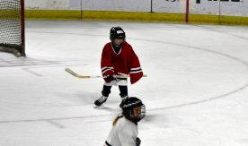 IceBearsJan2019 - 1DSC_3547.jpg