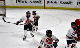 IceBearsJan2019 - 1DSC_3548.jpg