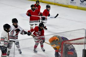 IceBearsJan2019 - 1DSC_3552.jpg