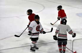 IceBearsJan2019 - 1DSC_3554.jpg