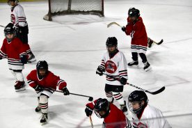 IceBearsJan2019 - 1DSC_3584.jpg