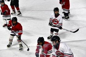 IceBearsJan2019 - 1DSC_3585.jpg