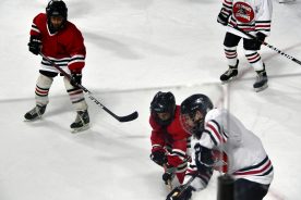 IceBearsJan2019 - 1DSC_3586.jpg