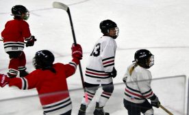 IceBearsJan2019 - 1DSC_3590.jpg