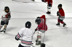 IceBearsJan2019 - 1DSC_3608.jpg