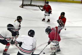 IceBearsJan2019 - 1DSC_3609.jpg