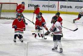 IceBearsJan2019 - 1DSC_3642.jpg