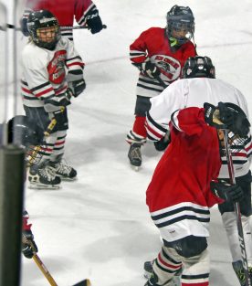 IceBearsJan2019 - 1DSC_3737.jpg