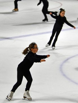 IceBearsJan2019 - 1DSC_3784.jpg