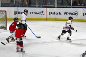 IceBearsJan2019 - 1DSC_3914.jpg