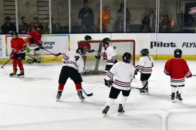 IceBearsJan2019 - 1DSC_4051.jpg