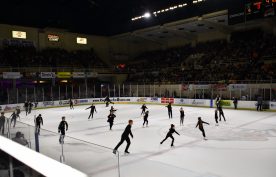 IceBearsJan2019 - 1DSC_4065.jpg