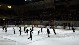 IceBearsJan2019 - 1DSC_4069.jpg