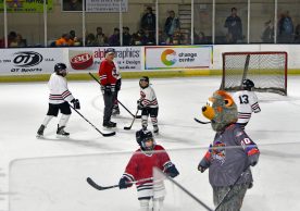 IceBearsJan2019 - 1DSC_4085.jpg