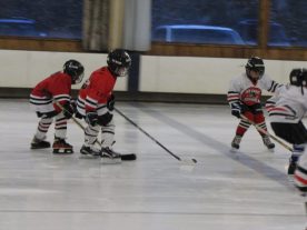 hockey2012 - IMG_5028-1194x896.jpg