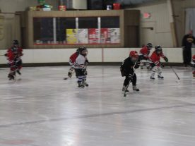 hockey2012 - IMG_5031-1194x896.jpg