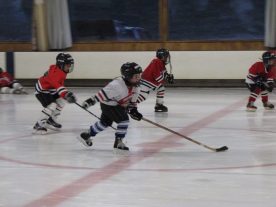 hockey2012 - IMG_5033-1194x896.jpg