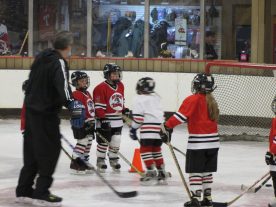 hockey2012 - IMG_5039-1194x896.jpg