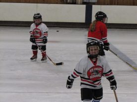 hockey2012 - IMG_5043-1194x896.jpg