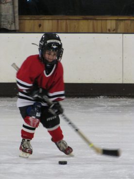 hockey2012 - IMG_5044-1194x1592.jpg