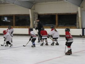 hockey2012 - IMG_5052-1194x896.jpg