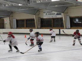 hockey2012 - IMG_5053-1194x896.jpg