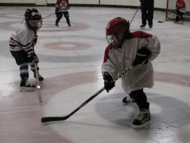 hockey2012 - IMG_5054-1194x896.jpg