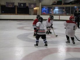 hockey2012 - IMG_5055-1194x896.jpg