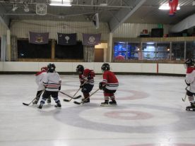 hockey2012 - IMG_5056-1194x896.jpg